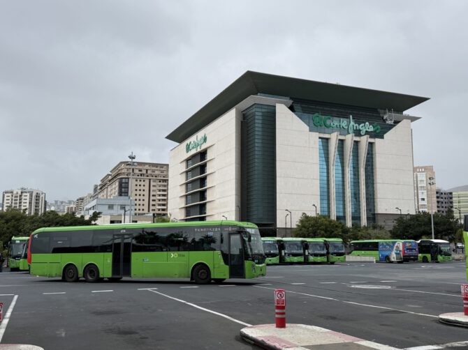 Wie kommt man vom Flughafen Teneriffa zum Kreuzfahrthafen Santa Cruz?