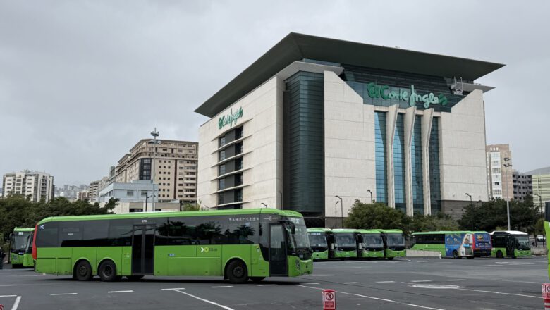 Wie kommt man vom Flughafen Teneriffa zum Kreuzfahrthafen Santa Cruz?