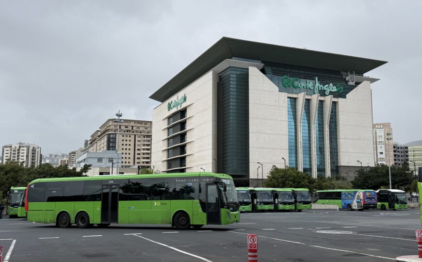 Wie kommt man vom Flughafen Teneriffa zum Kreuzfahrthafen Santa Cruz?
