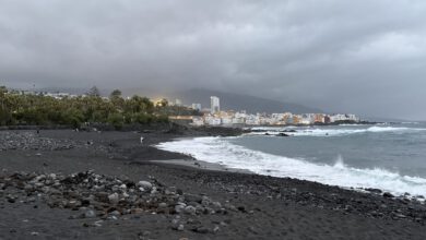 Wie komme ich vom Santa Cruz Kreuzfahrthafen Teneriffa nach Puerto de la Cruz?
