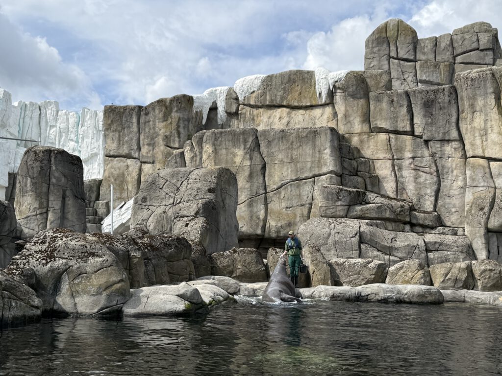 Show Fütterung im Tierpark Hagenbeck