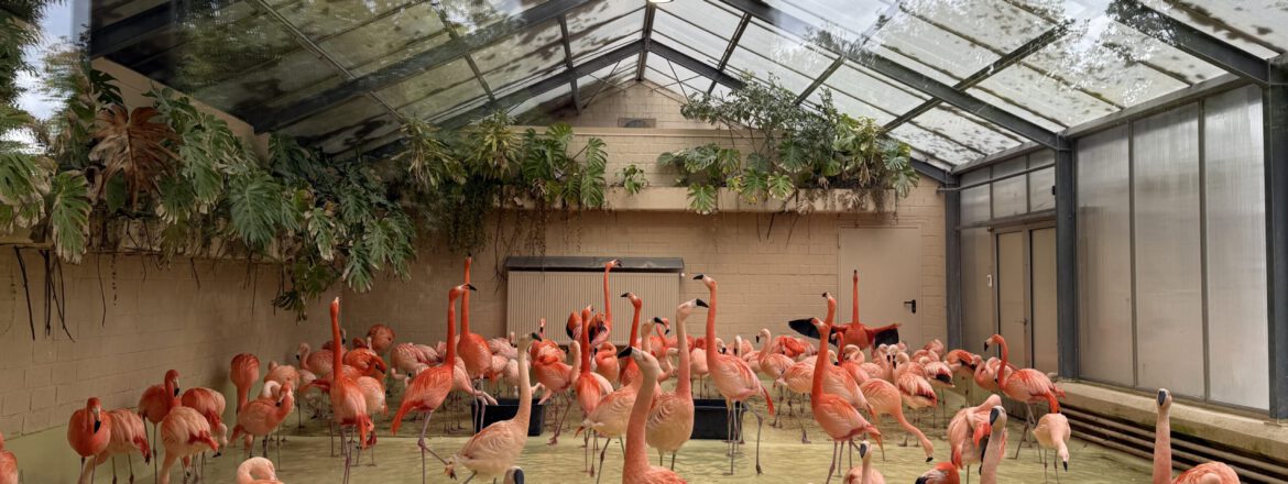 Tierpark Hagenbeck – tierisches Ausflugsziel vor/nach deiner Kreuzfahrt ab Hamburg