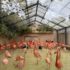Tierpark Hagenbeck – tierisches Ausflugsziel vor/nach deiner Kreuzfahrt ab Hamburg