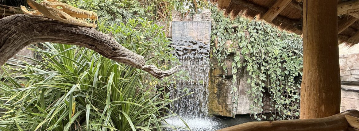 Tropen-Aquarium Hagenbeck – faszinierende Welt der Tropen