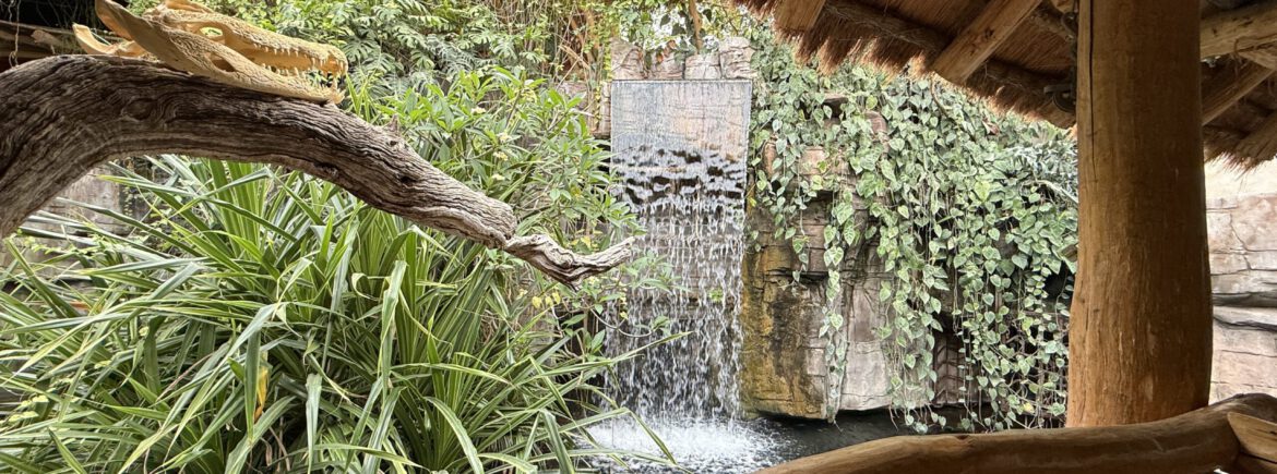 Tropen-Aquarium Hagenbeck – faszinierende Welt der Tropen