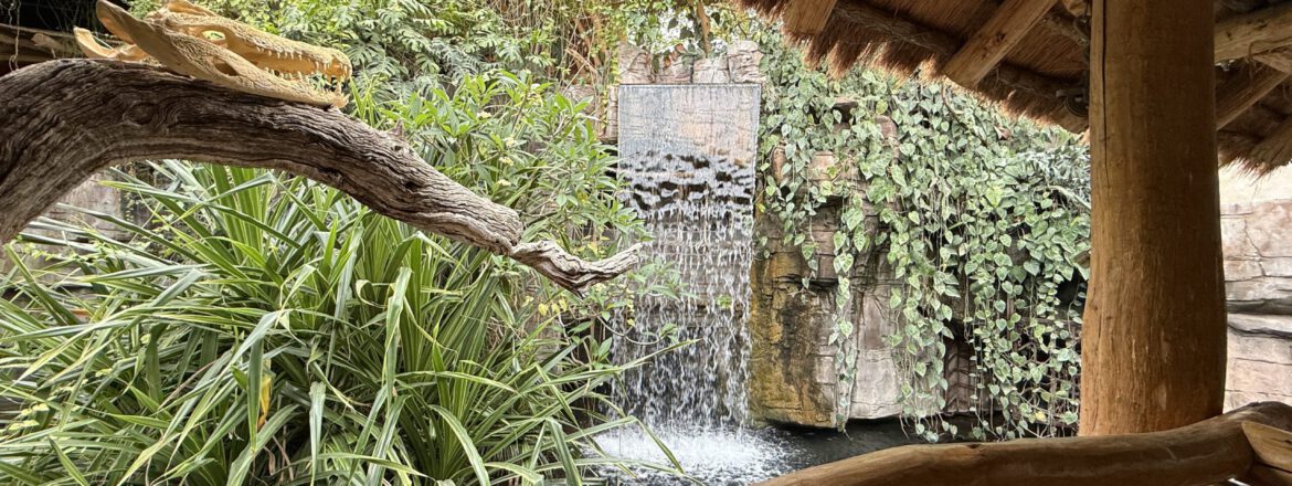 Tropen-Aquarium Hagenbeck – faszinierende Welt der Tropen
