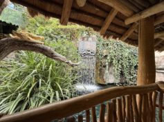 Tropen-Aquarium Hagenbeck – faszinierende Welt der Tropen