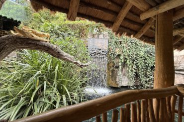 Tropen-Aquarium Hagenbeck – faszinierende Welt der Tropen