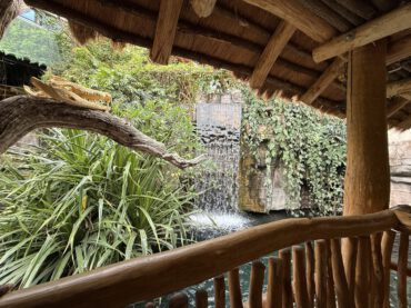 Tropen-Aquarium Hagenbeck – faszinierende Welt der Tropen