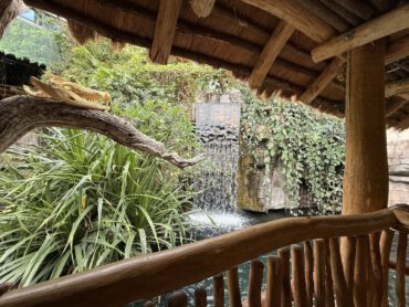 Tropen-Aquarium Hagenbeck – faszinierende Welt der Tropen