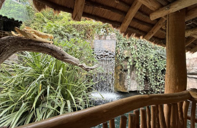 Tropen-Aquarium Hagenbeck – faszinierende Welt der Tropen