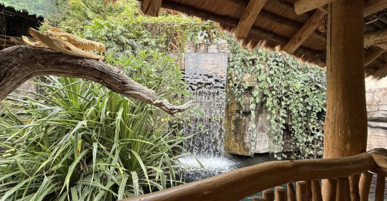 Tropen-Aquarium Hagenbeck – faszinierende Welt der Tropen