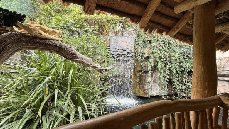 Tropen-Aquarium Hagenbeck – faszinierende Welt der Tropen