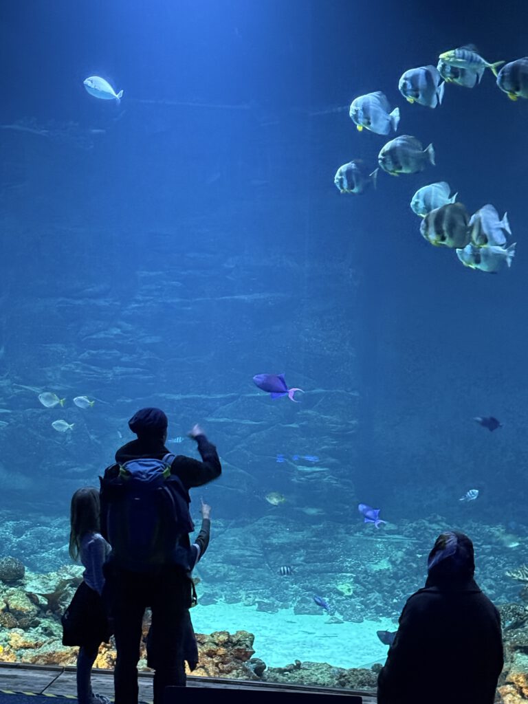 Aquarium XXL Scheibe