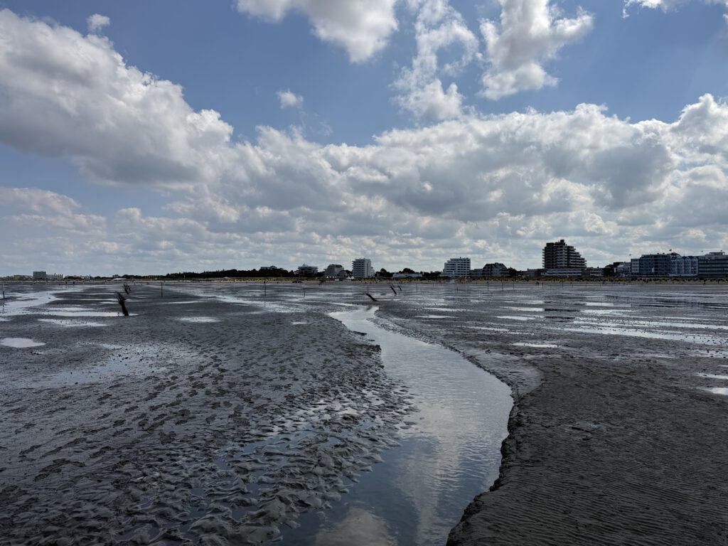 Wattenmeer Cuxhaven