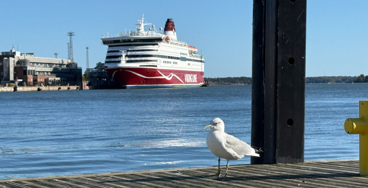 Viking Line Cinderella