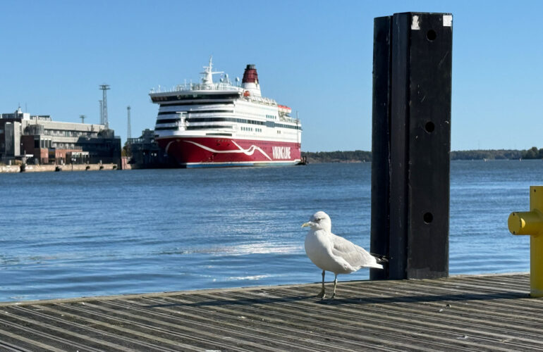 Viking Cinderella Mini Cruise: Meine Reise von Stockholm nach Helsinki