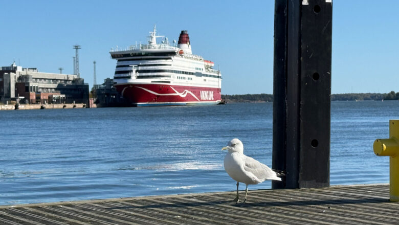 Viking Cinderella Mini Cruise: Meine Reise von Stockholm nach Helsinki
